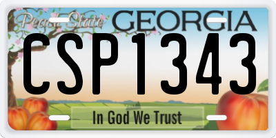 GA license plate CSP1343