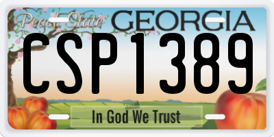 GA license plate CSP1389