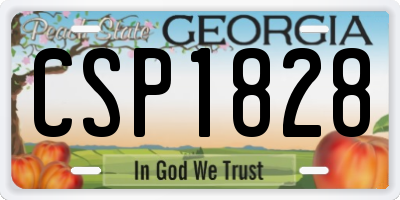 GA license plate CSP1828