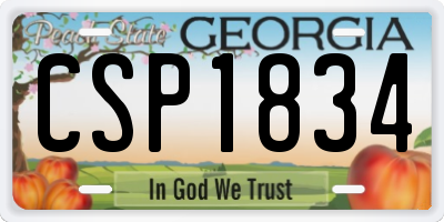 GA license plate CSP1834