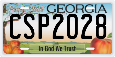 GA license plate CSP2028