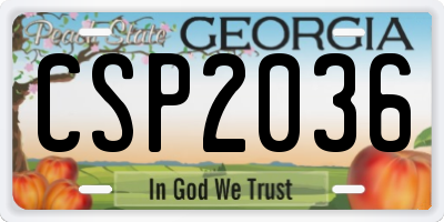 GA license plate CSP2036