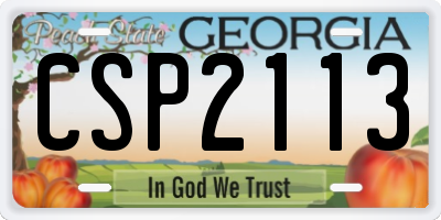 GA license plate CSP2113