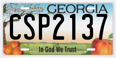 GA license plate CSP2137