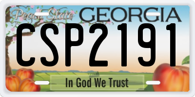 GA license plate CSP2191