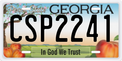 GA license plate CSP2241