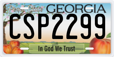 GA license plate CSP2299