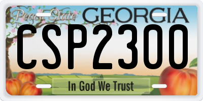 GA license plate CSP2300