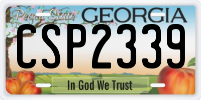 GA license plate CSP2339