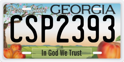 GA license plate CSP2393