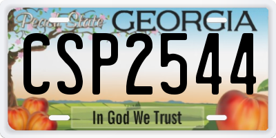 GA license plate CSP2544