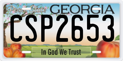 GA license plate CSP2653