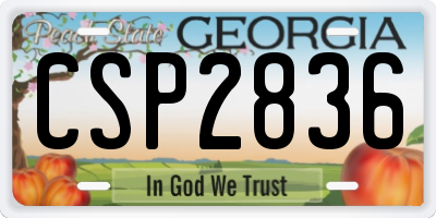 GA license plate CSP2836