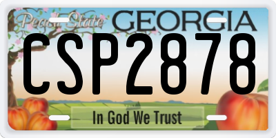 GA license plate CSP2878