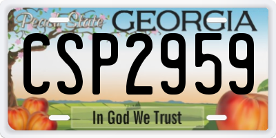 GA license plate CSP2959
