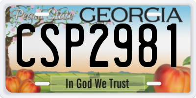 GA license plate CSP2981