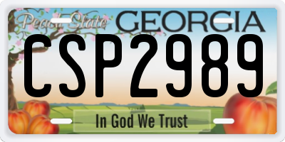 GA license plate CSP2989