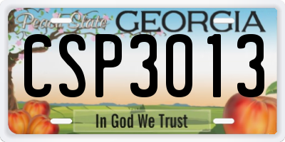 GA license plate CSP3013