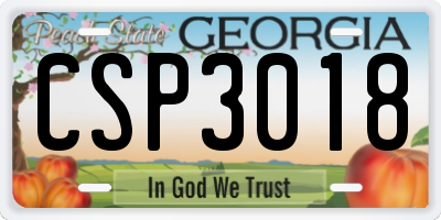 GA license plate CSP3018