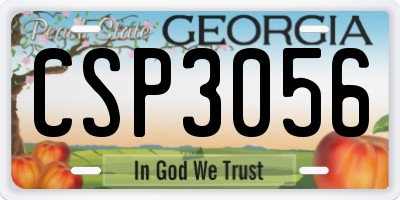 GA license plate CSP3056