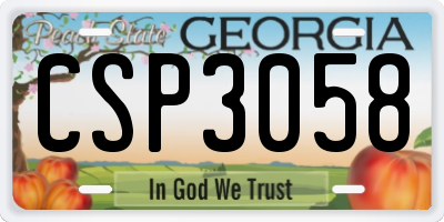 GA license plate CSP3058