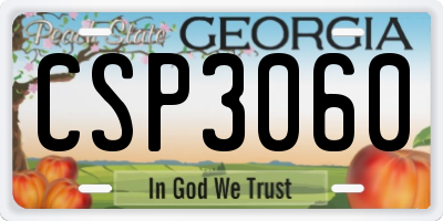 GA license plate CSP3060