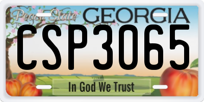 GA license plate CSP3065