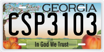 GA license plate CSP3103