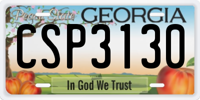 GA license plate CSP3130