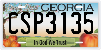 GA license plate CSP3135