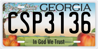 GA license plate CSP3136