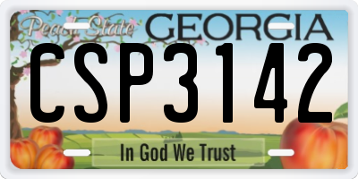 GA license plate CSP3142