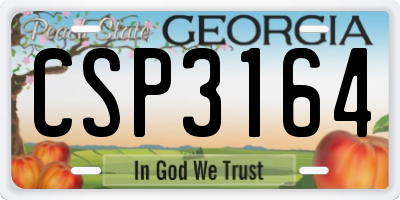 GA license plate CSP3164