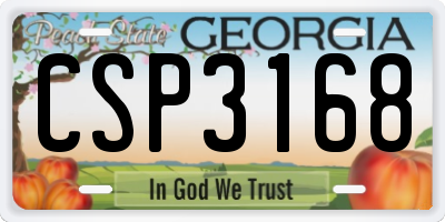 GA license plate CSP3168