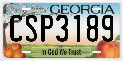 GA license plate CSP3189