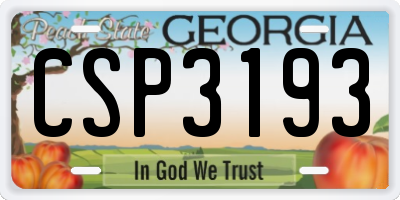 GA license plate CSP3193
