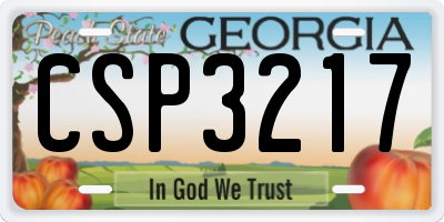 GA license plate CSP3217
