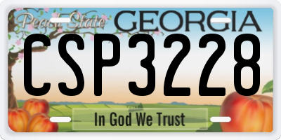 GA license plate CSP3228