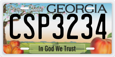 GA license plate CSP3234