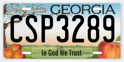 GA license plate CSP3289