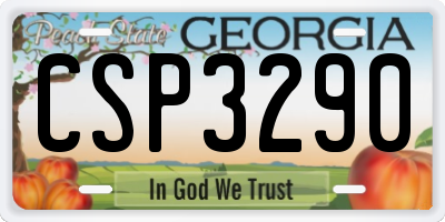 GA license plate CSP3290