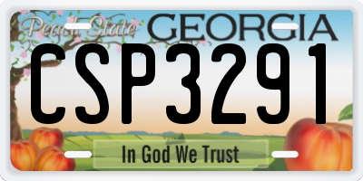 GA license plate CSP3291