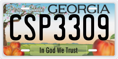 GA license plate CSP3309