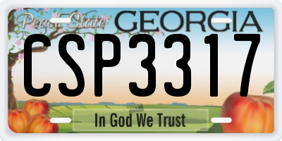 GA license plate CSP3317