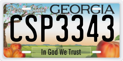 GA license plate CSP3343