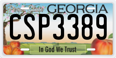 GA license plate CSP3389