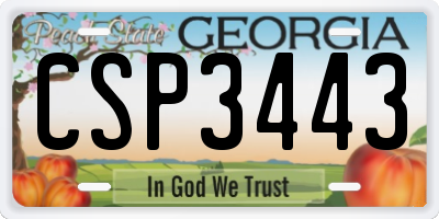 GA license plate CSP3443
