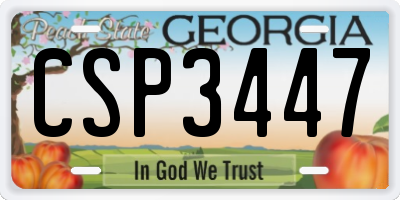 GA license plate CSP3447
