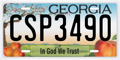 GA license plate CSP3490