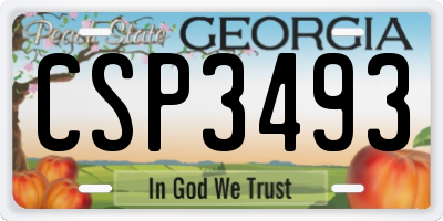 GA license plate CSP3493